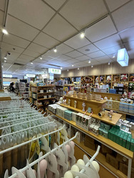 Lucky Plaza (D9), Retail #541481601